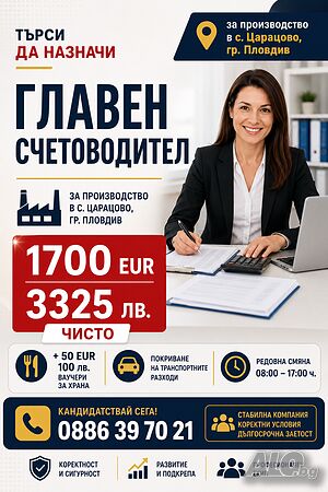 Главен счетоводител