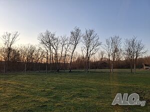 image_6