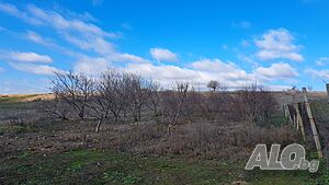 image_11