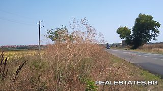 image_12
