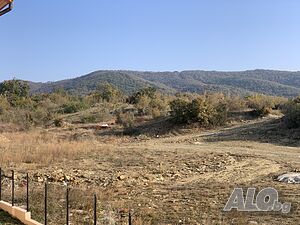 image_9
