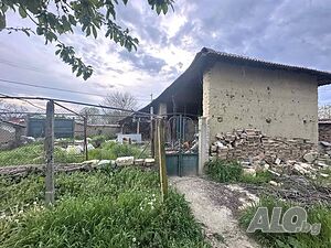 image_3