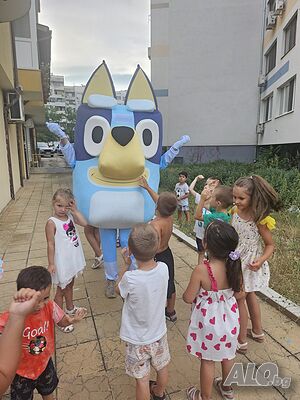image_8