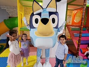 image_12