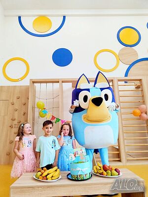 image_15