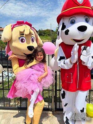 image_3