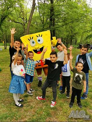 image_8