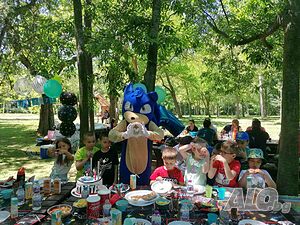 image_7