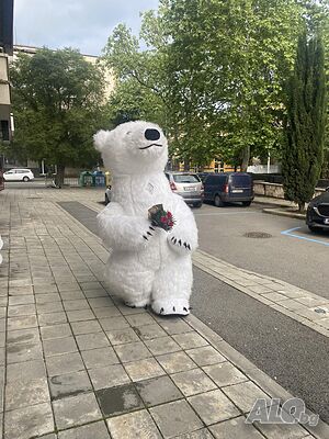 image_14