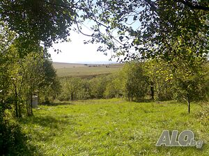 image_12