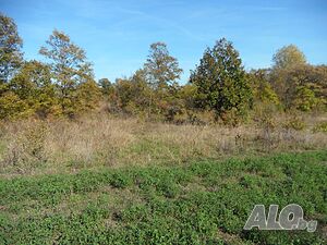image_8