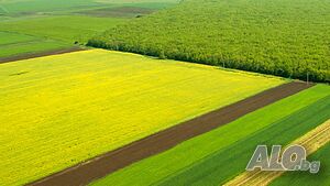 Продавам земеделска земя с. Мамарчево
