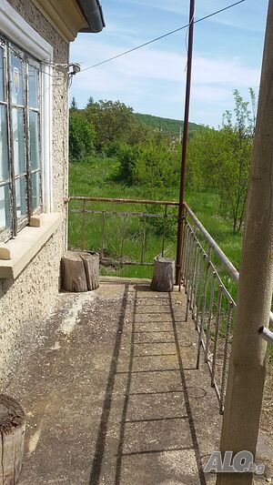 image_7