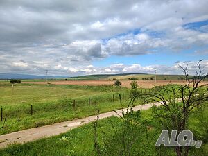 image_10