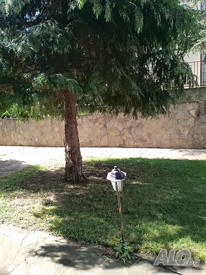 image_12