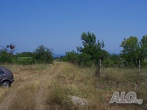 image_2