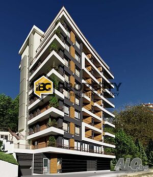 image_6
