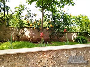 image_11