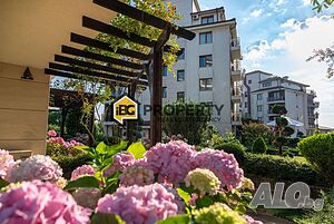 image_13
