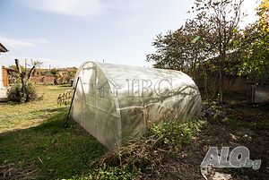 image_11