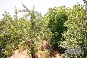 image_14