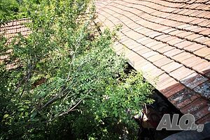 image_15