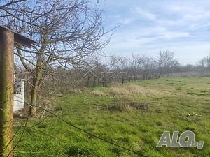 image_9