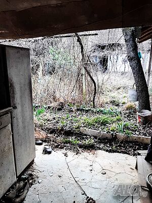 image_10