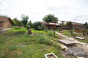 image_8