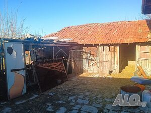 image_11