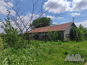 image_12