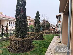 image_14
