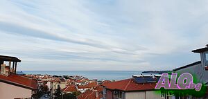 image_19