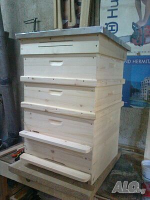 image_3