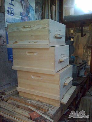 image_7