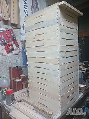 image_4