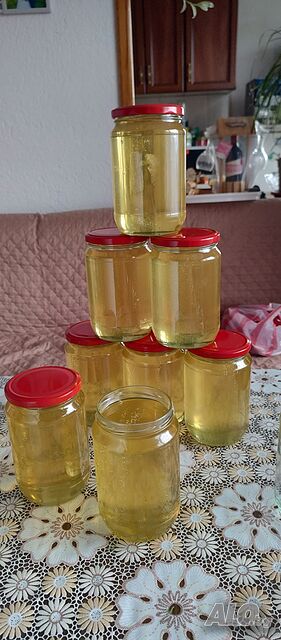image_7