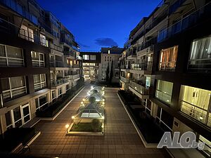 image_11