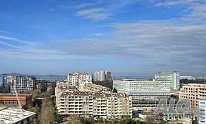 image_11