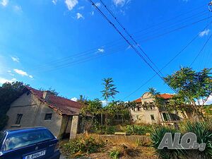 image_3