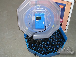 image_3