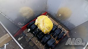 image_8