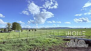 image_14