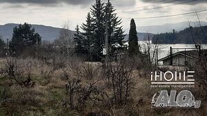 Парцел яз. Пчелина
