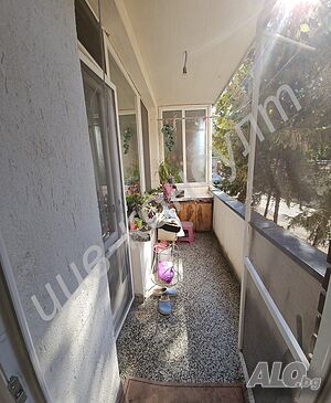 image_5