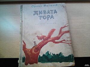 image_6