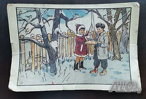 image_5