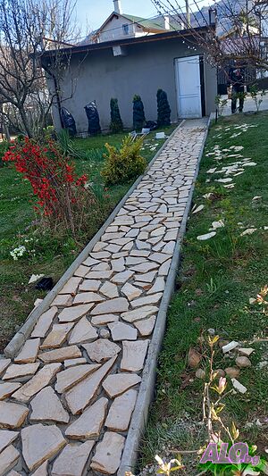 image_11