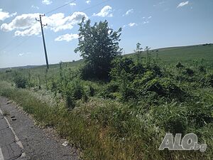 image_8