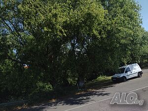 image_6